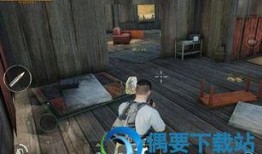 吃瓜爆料吃鸡,揭秘“吃鸡”背后的秘密与风云