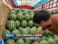 吃瓜爆料专楼,吃瓜爆料专楼大揭秘