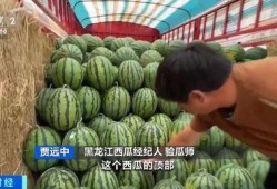 吃瓜爆料专楼,吃瓜爆料专楼大揭秘