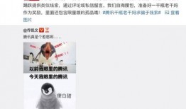 qq吃瓜爆料在线,QQ吃瓜爆料背后的真相与影响