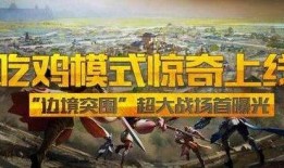 吃瓜爆料吃鸡,揭秘“吃鸡”背后的秘密与风云