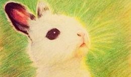 rabbit吃瓜爆料,娱乐圈幕后真相大揭秘