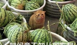 爆料艺人吃瓜,揭秘艺人吃瓜背后的真相